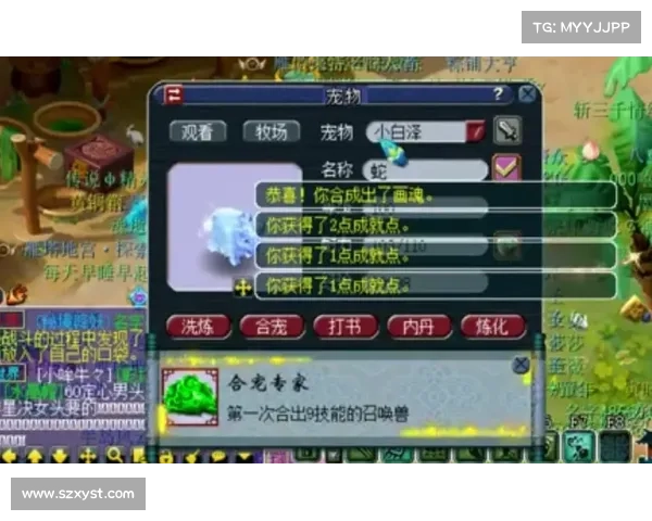 梦幻西游85级剧情中必做的关键任务全解析及攻略指南 梦幻西游85级剧情中必做的关键任务全解析及攻略指南