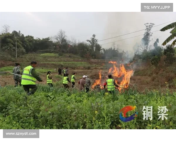 探索火焰之地时需要留意的安全事项与生存技巧 探索火焰之地时需要留意的安全事项与生存技巧