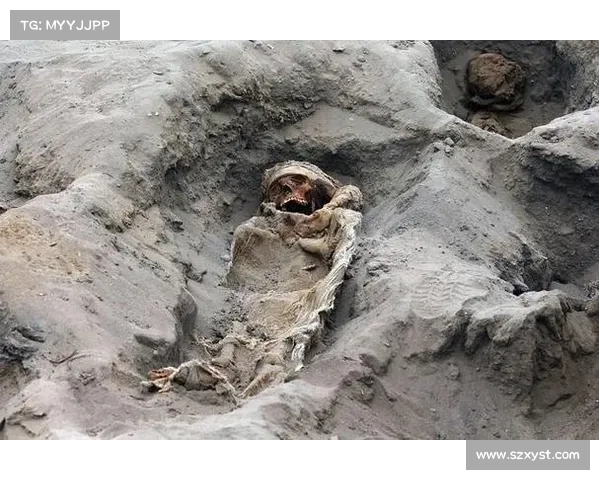 揭秘恐怖祖先的历史之谜探索家族深藏的秘密与遗产