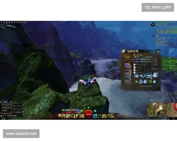 激战2游侠宠物选择与驯服攻略 全面解析最佳搭配技巧