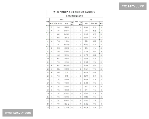 欧协杯决赛规则深度解读：赛制亮点观赛要点一次看懂全方位指南